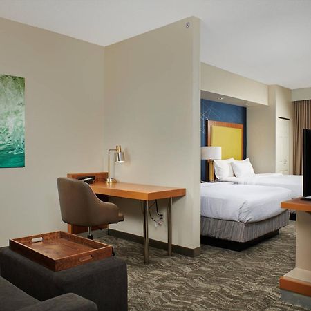 Springhill Suites By Marriott Baton Rouge North / Airport Kültér fotó