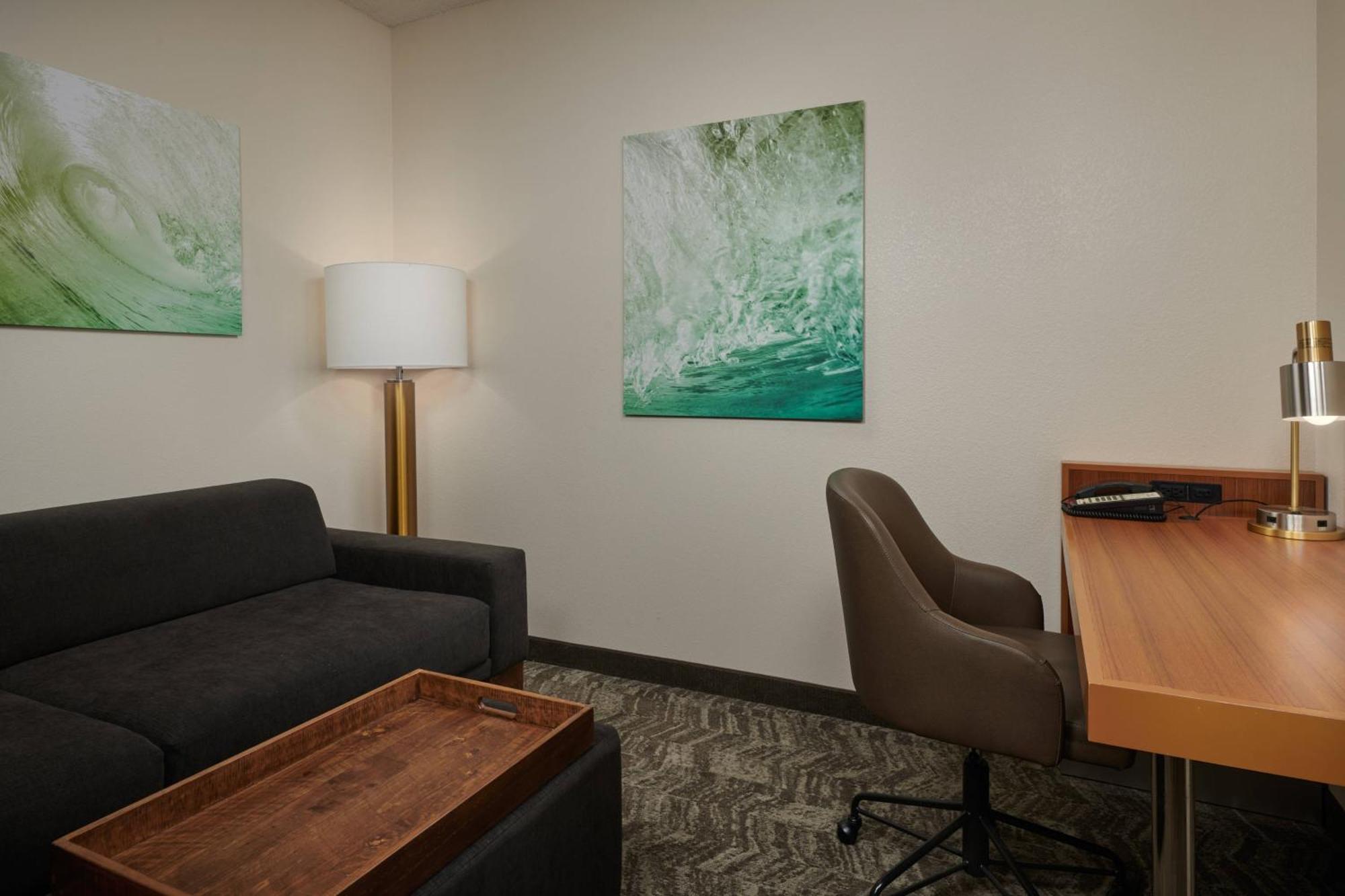Springhill Suites By Marriott Baton Rouge North / Airport Kültér fotó